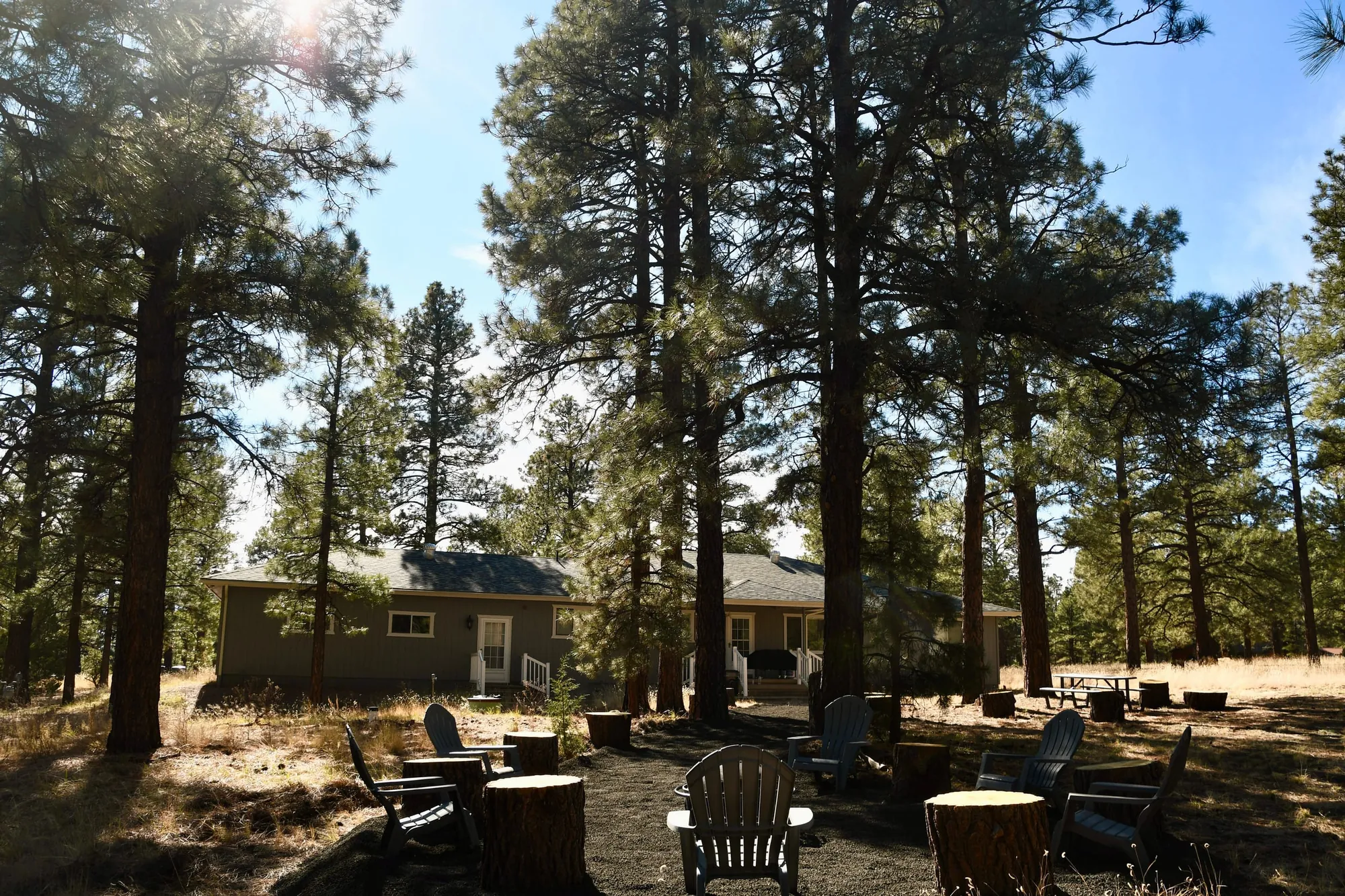 The back of Glenwood Pines through tall ponderosa pines on a sunny afternoon